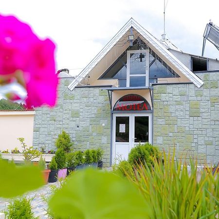 Hostel Shatrata Bogomilovo Eksteriør billede